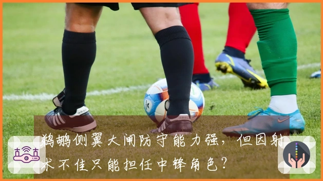 鹈鹕侧翼大闸防守能力强，但因射术不佳只能担任中锋角色？