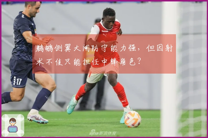鹈鹕侧翼大闸防守能力强，但因射术不佳只能担任中锋角色？