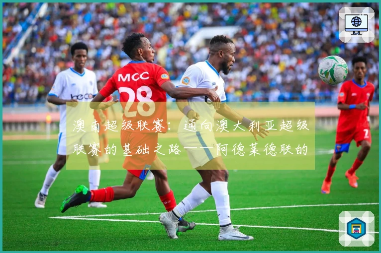 澳南超级联赛：通向澳大利亚超级联赛的基础之路——阿德莱德联的怀特论